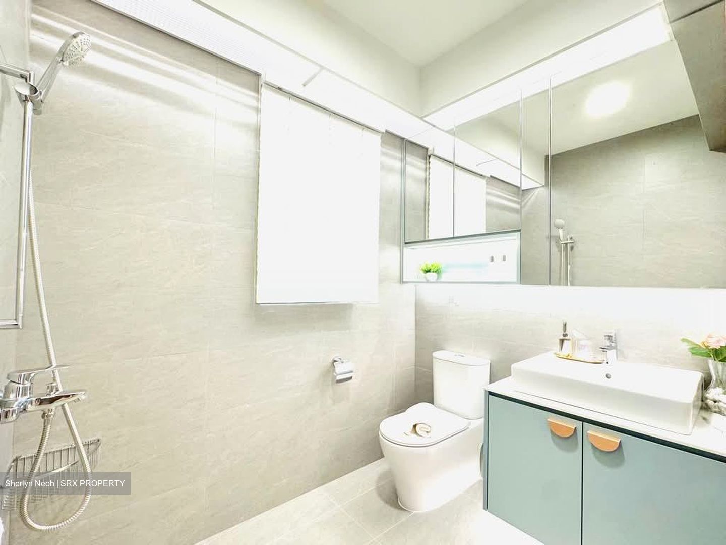 Blk 43A Skyoasis @ Dawson (Queenstown), HDB 3 Rooms #577750481